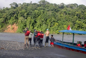 Manu National Park: Nature, culture, birds, and mammals – Full Day