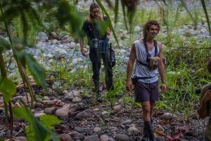 Manu National Park: Nature, culture, birds, and mammals – Full Day