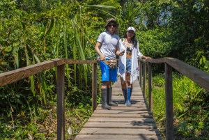 Manu National Park: Nature, culture, birds, and mammals – Full Day