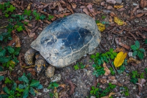 Manu National Park: Nature, culture, birds, and mammals – Full Day