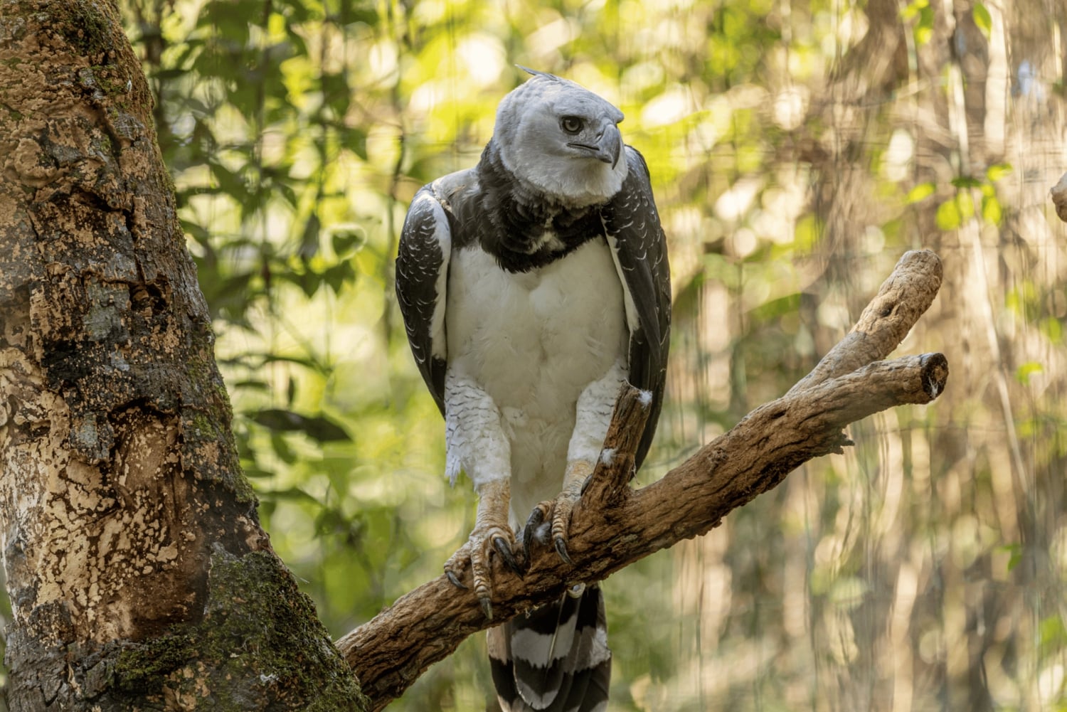 Manu National Park Tours from Cusco 5 Days