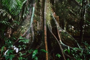 Manun kansallispuiston retket Cuscosta 5 päivää