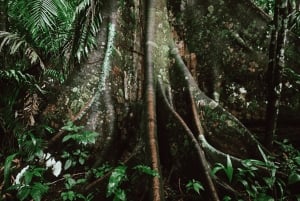 Manu National Park Tours from Cusco 5 Days