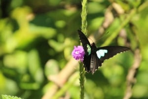 Manu National Park Tours from Cusco 5 Days