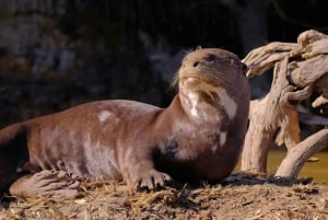 Manu National Park Tours from Cusco 5 Days