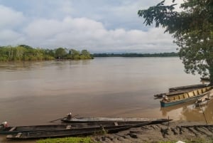 Manu National Park Tours from Cusco 5 Days