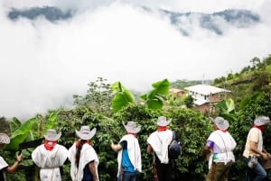 Medellin: Kaffetur, ankomst på hesteryggen og sukkerrør