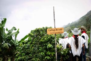Medellin: Kaffetur, ankomst på hesteryg og sukkerrør