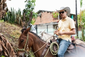 Medellin: Kafferesa, ankomst på hästryggen och sockerrör