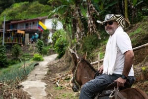 Medellín: Tour do café, chegada a cavalo e cana-de-açúcar