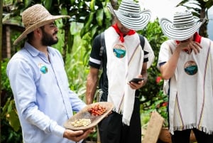 Medellin: Kaffetur, ankomst på hesteryggen og sukkerrør