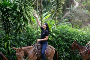 Medellin: Kafferesa, ankomst på hästryggen och sockerrör