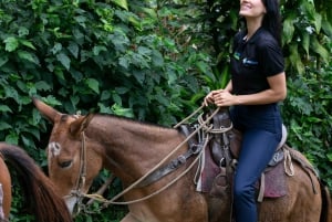 Medellin: Tour del caffè, arrivo a cavallo e canna da zucchero