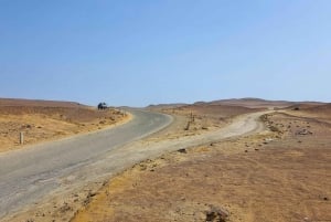 Mini Buggy GO KART i Paracas naturreservat
