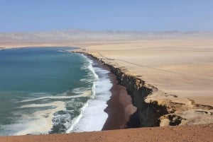 Mini Buggy GO KART i Paracas naturreservat