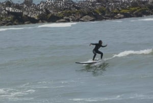 Miraflores: Surfingkursus med videoer, udstyr og instruktør