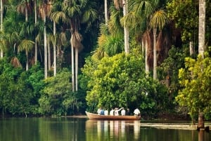 Monkey Island + Lake Sandoval 2D/1N