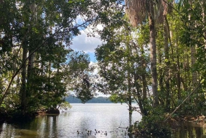 Monkey Island + Lake Sandoval + Tapir trail hike 3D/2N