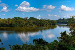 Monkey Island + Lake Sandoval + Tapir trail hike 3D/2N