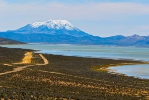 Mountain Escape: Discover Salinas & Aguada Blanca in One Day