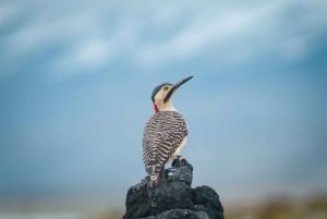 Mountain Escape: Discover Salinas & Aguada Blanca in One Day