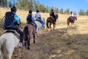 Mystical horseback riding discovering cusco in a unique way