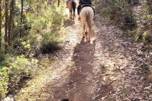 Mystical horseback riding discovering cusco in a unique way