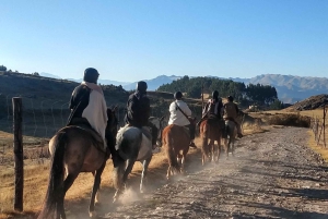 神秘的な馬乗り体験で、クスコをユニークな方法で探検しましょう。