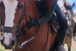 神秘的な馬乗り体験で、クスコをユニークな方法で探検しましょう。