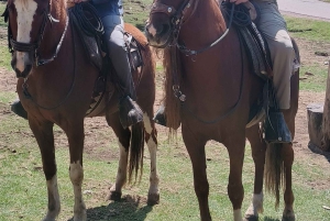 神秘的な馬乗り体験で、クスコをユニークな方法で探検しましょう。