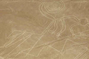 Nasca: Flight over Nazca lines + Cantalloc Aqueducts (Combo)
