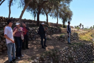 Nasca: Flight over Nazca lines + Cantalloc Aqueducts (Combo)