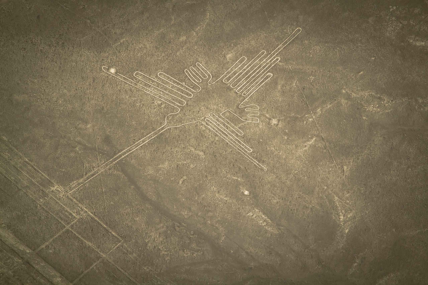 Nasca Lines Overflight with Lunch from Lima