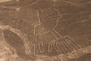 Nasca Lines Overflight with Lunch from Lima