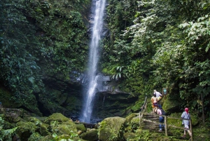 Tarapoto: Escapadela às cascatas de Ahuashiyacu