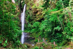 Tarapoto: Escapadela às cascatas de Ahuashiyacu