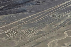 Nazca: 30-Minute Flight Over 13 Nazca Lines + Transfers Included