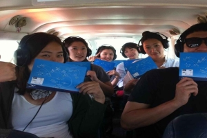 Nazca: 30-Minute Flight Over 13 Nazca Lines + Transfers Included