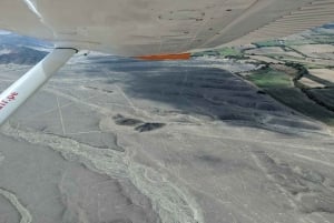 Nazca: 30-Minute Flight Over 13 Nazca Lines + Transfers Included