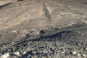 Nazca: Tour Arqueológico - Cantalloc, Paredones e Las Agujas