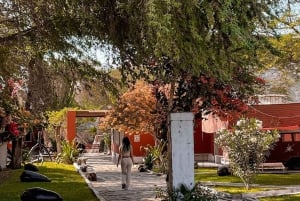 Nazca: Tour Arqueológico - Cantalloc, Paredones e Las Agujas