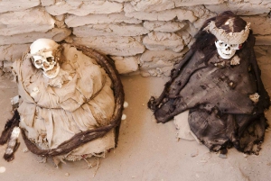 Nazca: Chauchilla Cemetery Guided Tour