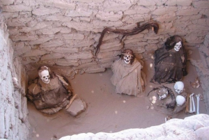 Nazca: Chauchilla Cemetery Guided Tour