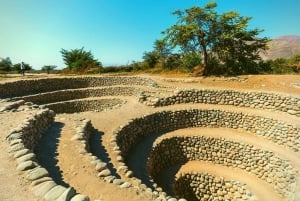 Nazca: Combo Nazca Lines Flight & Chauchilla Cemetery Tour