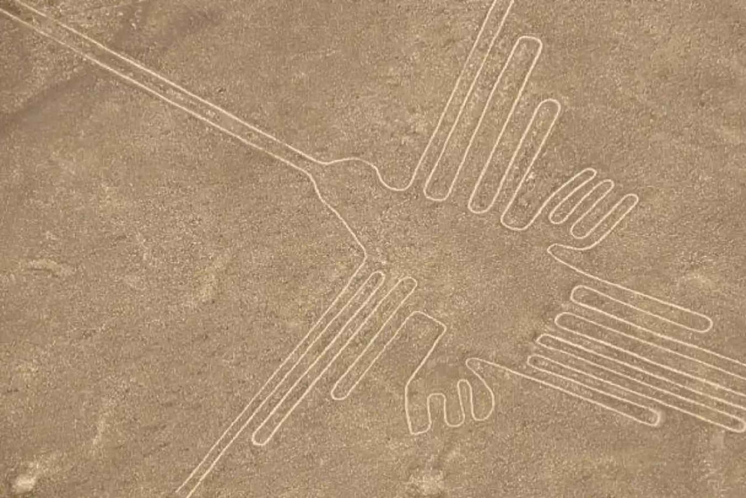 Nazca : Vol en avion léger au-dessus des lignes de Nazca