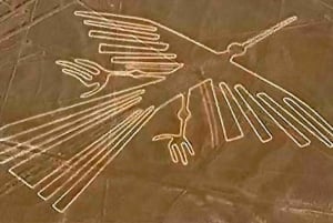 Nazca: Flygning med lätt flygplan över Nazca-linjerna