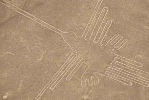 Nazca: Flygning med lätt flygplan över Nazca-linjerna