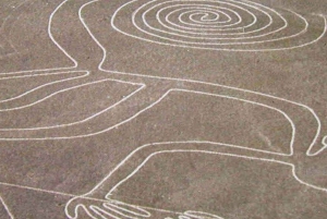 Nazca : Vol en avion léger au-dessus des lignes de Nazca