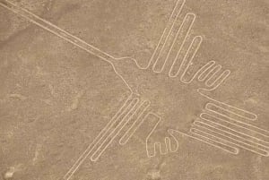 Nazca : Vol en avion léger au-dessus des lignes de Nazca