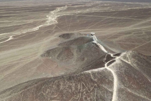 Nazca : Vol en avion léger au-dessus des lignes de Nazca